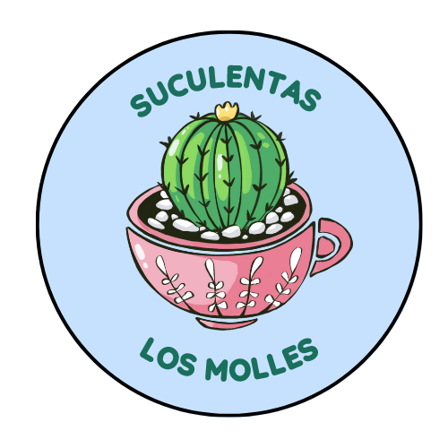 Suculentas Los Molles