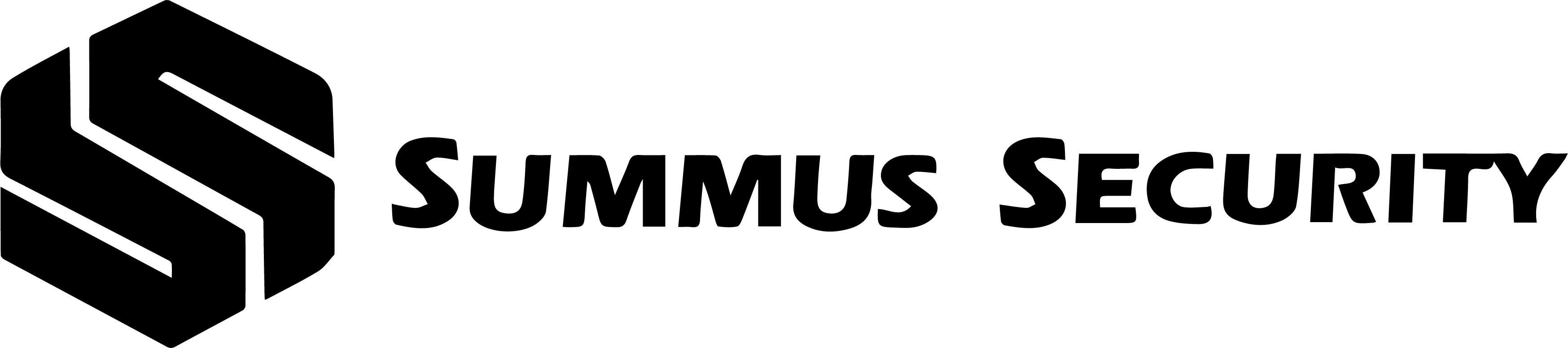 Summus Security