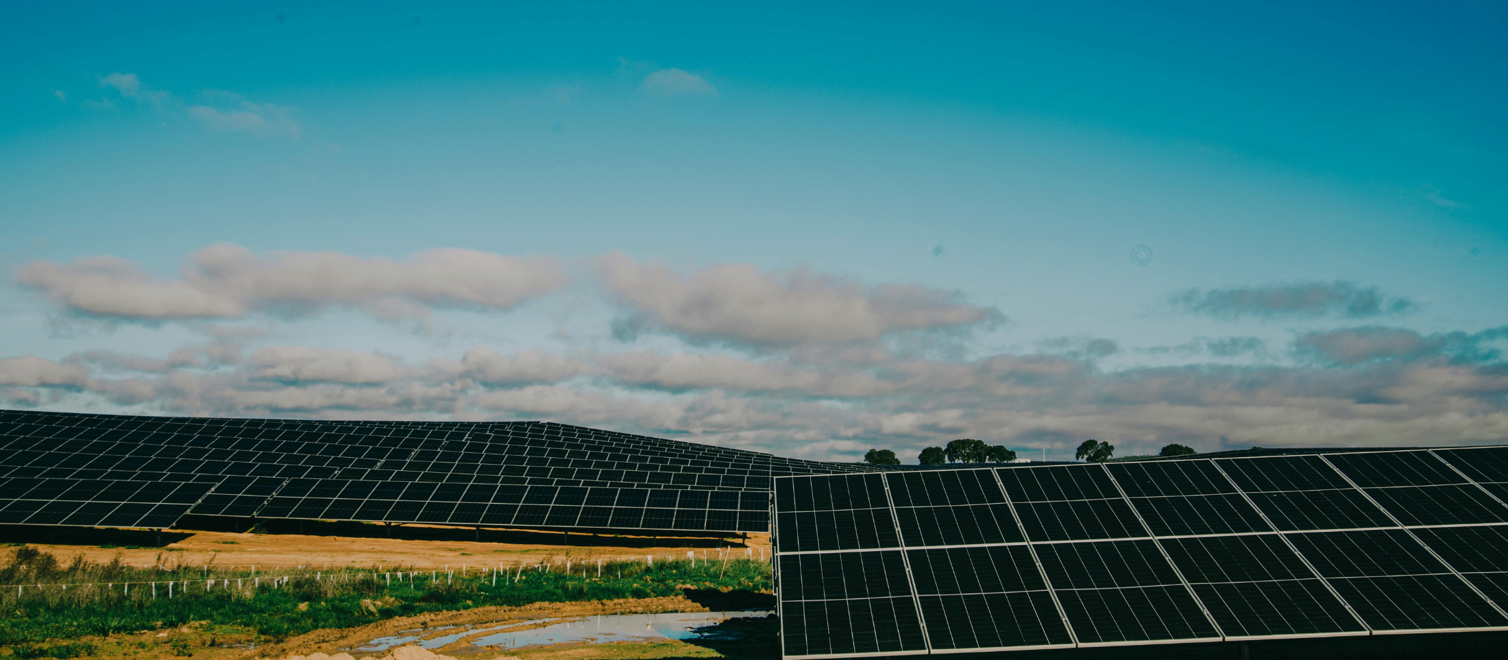 Descubre nuestros proyectos