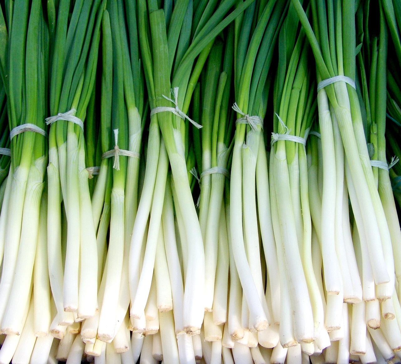 Verduras