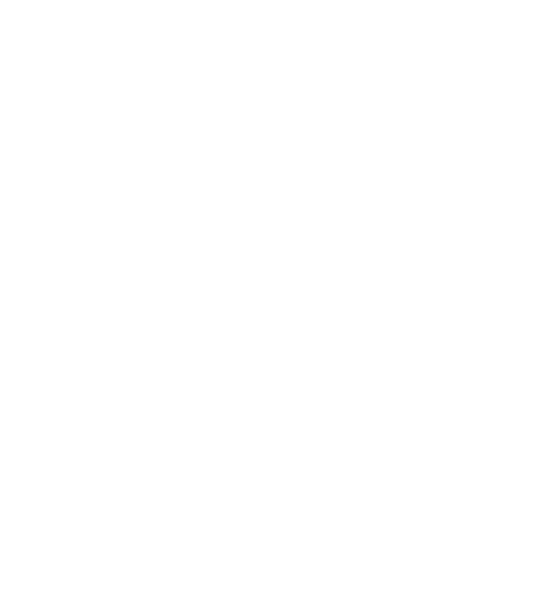 Swallow