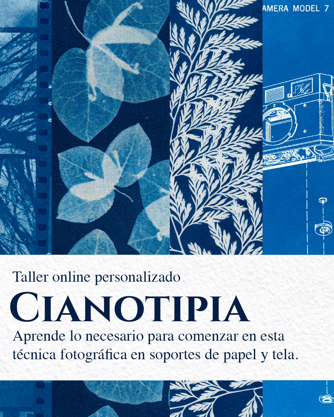 Taller Online de Cianotipia<br>