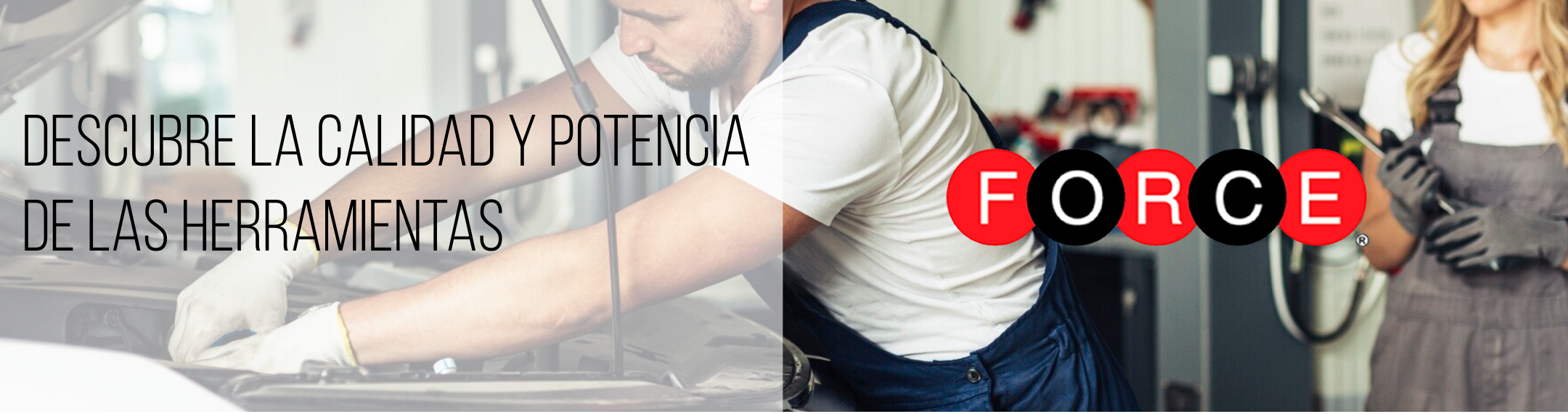 100% Fresco y lleno de sabor.