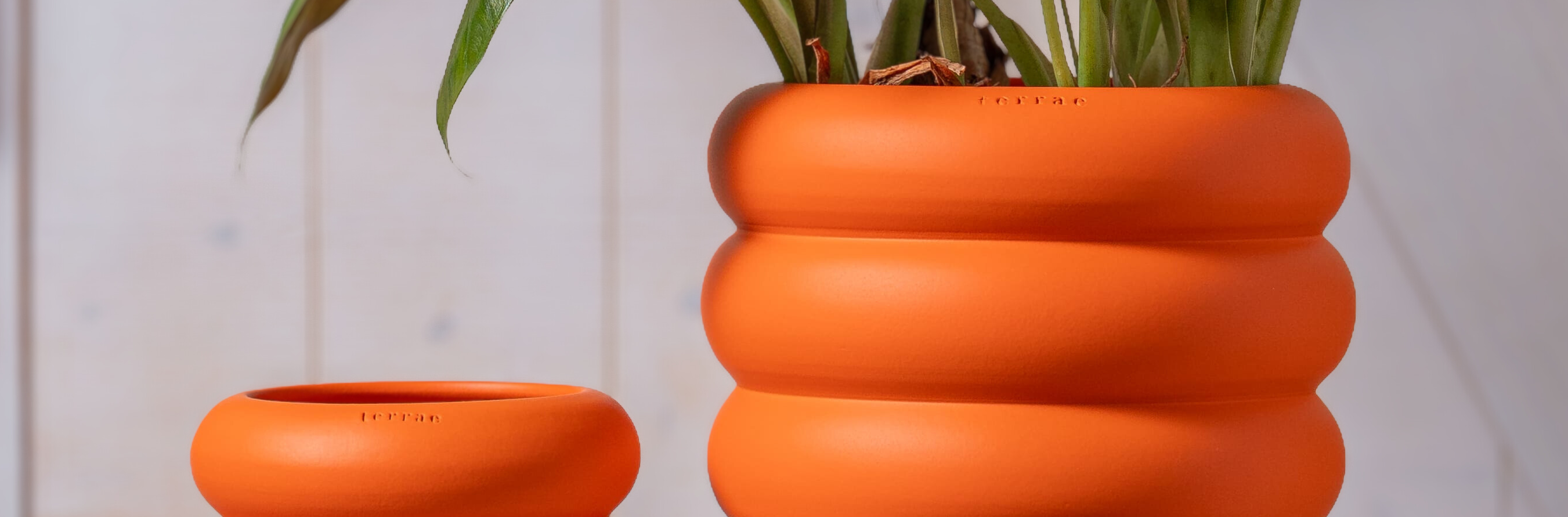 <p style="color: white;">A oasis collection chegou!</p>