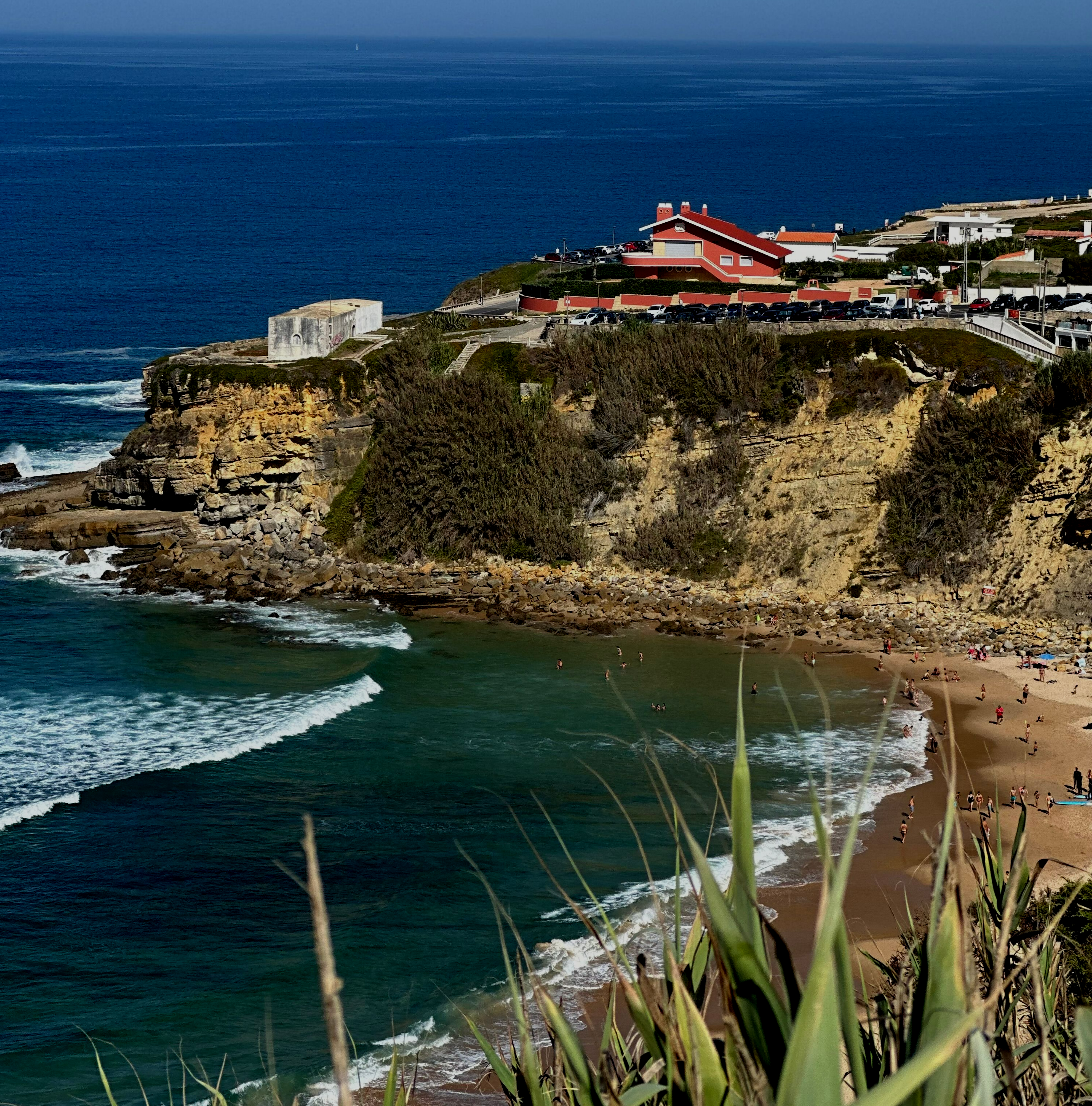 Procura de Madeira na Praia