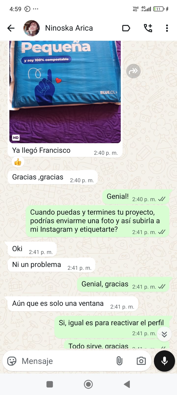 Cliente Ninoska de Arica confirmando recepción de espumas acústicas AcusticWall enviadas por Blue Express, demostrando cobertura nacional.