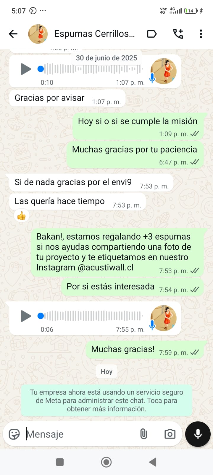 Testimonio real de cliente de Cerrillos satisfecho con la entrega de espumas acústicas AcusticWall después de esperar por el producto.