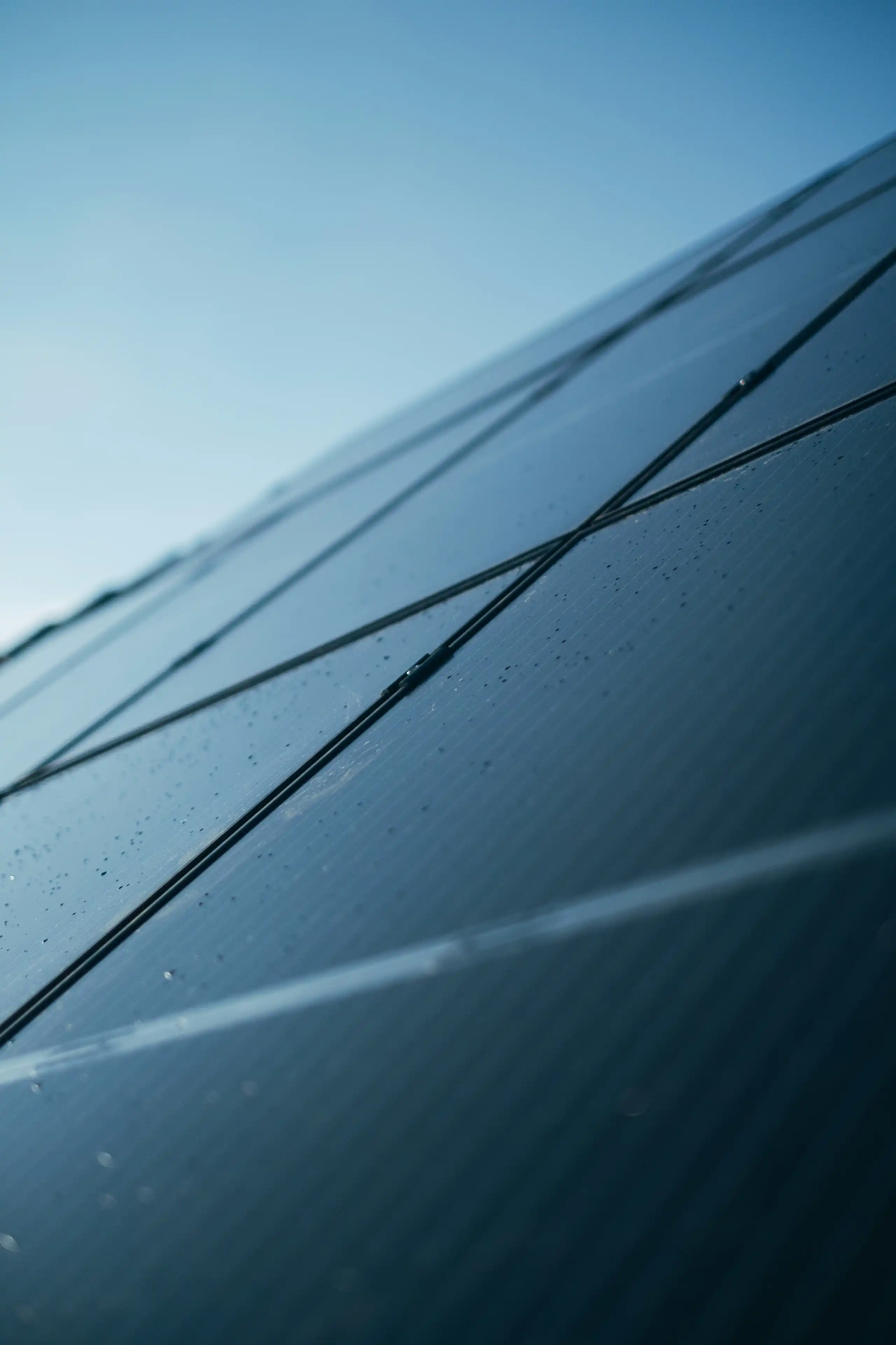 aprovecha los mejores precios del mercado