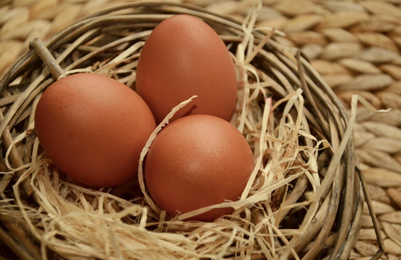 Huevos criollos
