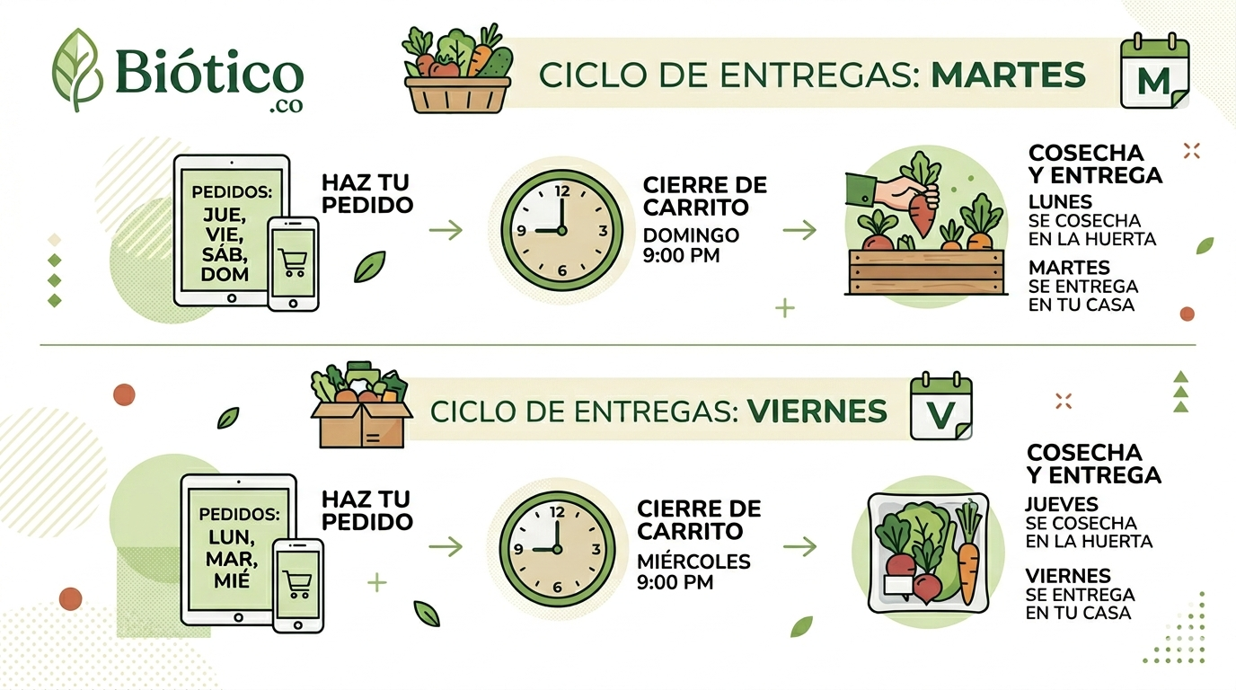 ¿Cómo funciona Biótico?