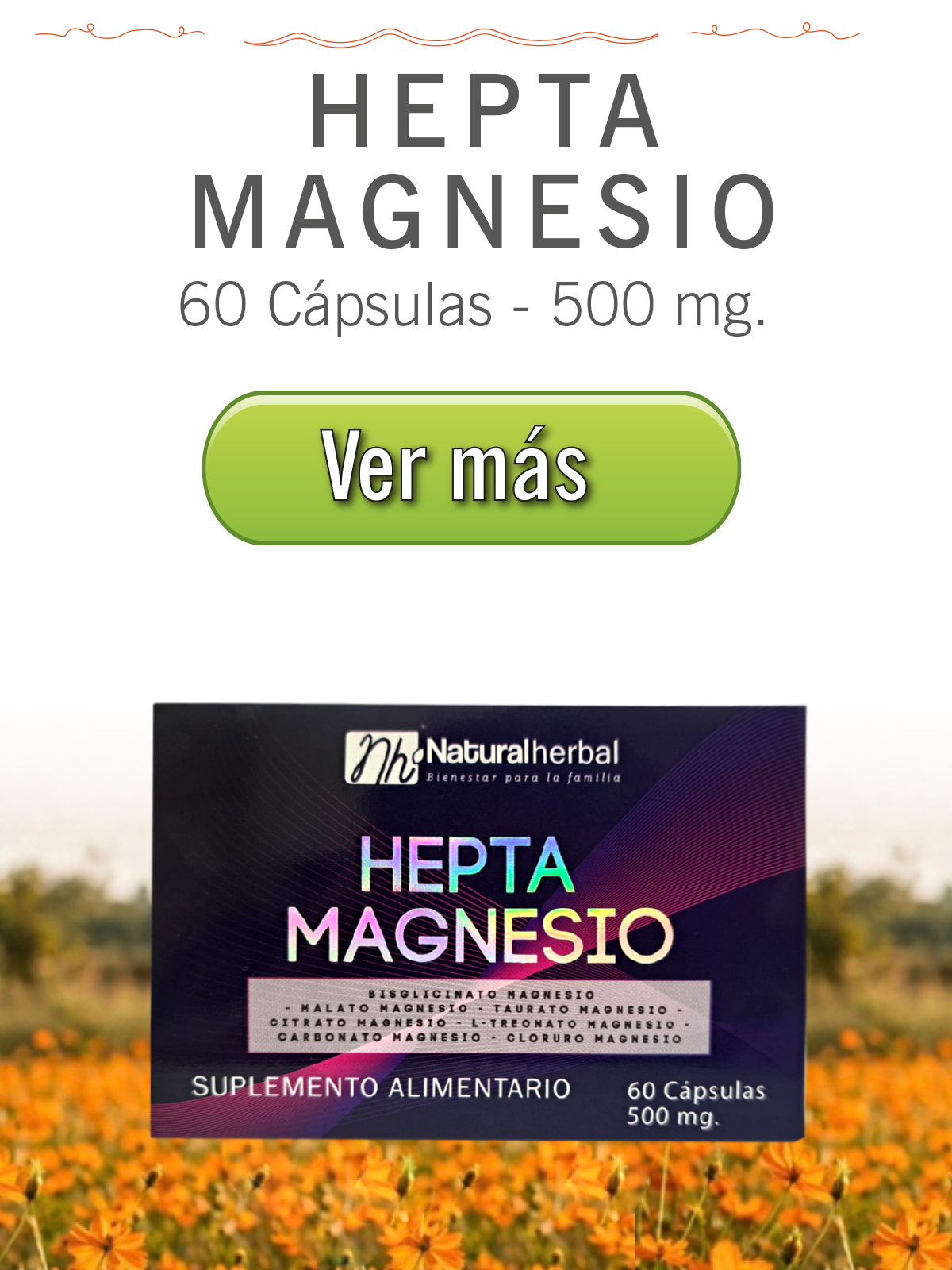 https://tienda.naturalherbal.cl/hepta-magnesio-60-capsulas-500-mg