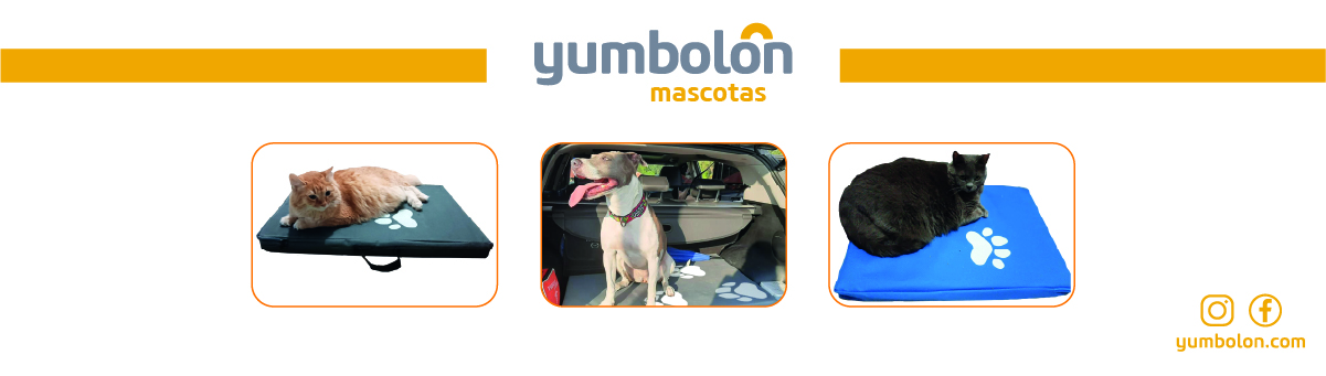 Título del banner