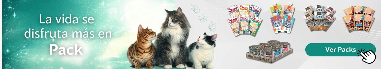 Título de la Sección