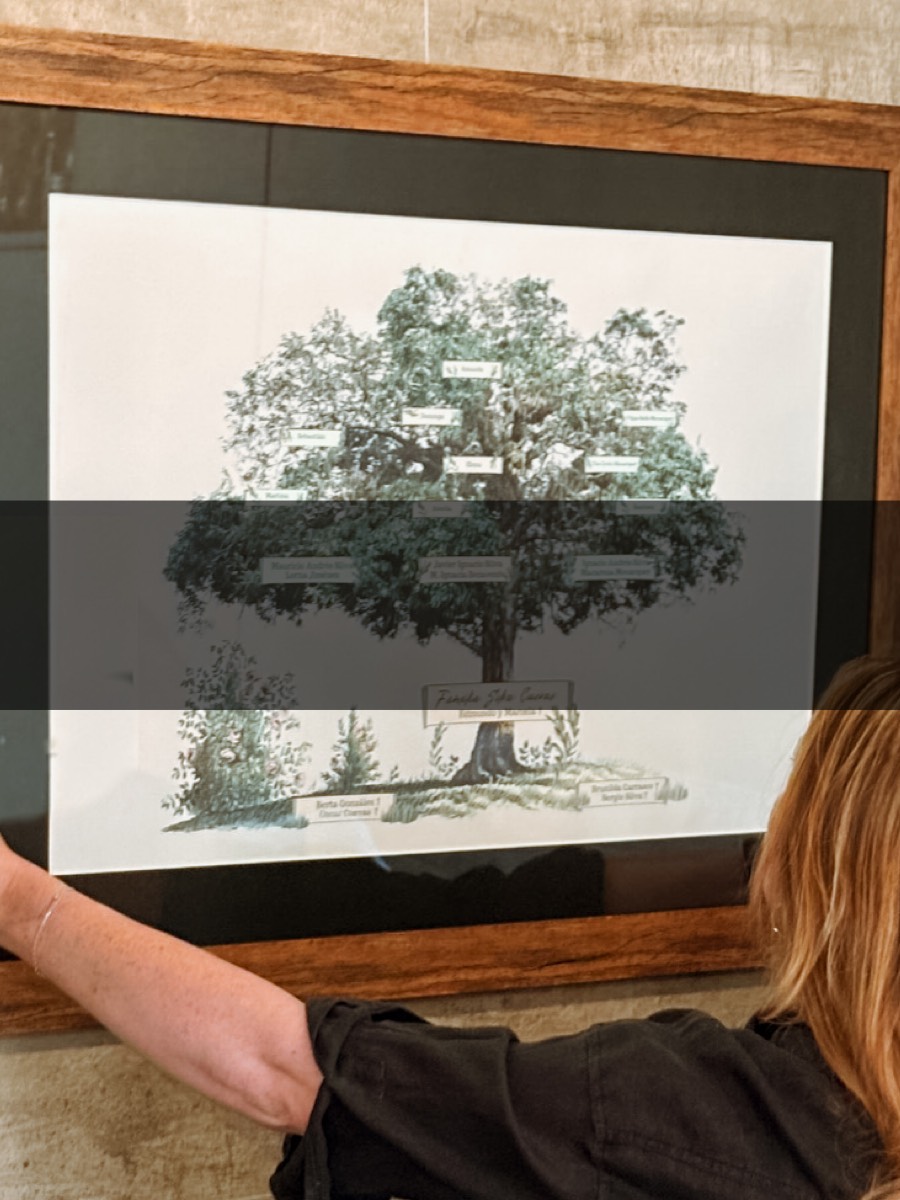 Para los amantes de los viajes