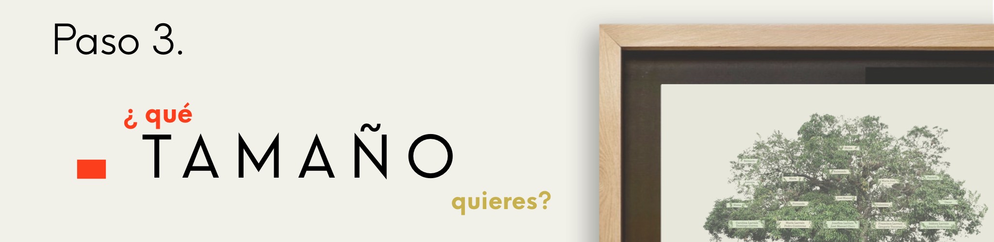 Título de la Sección