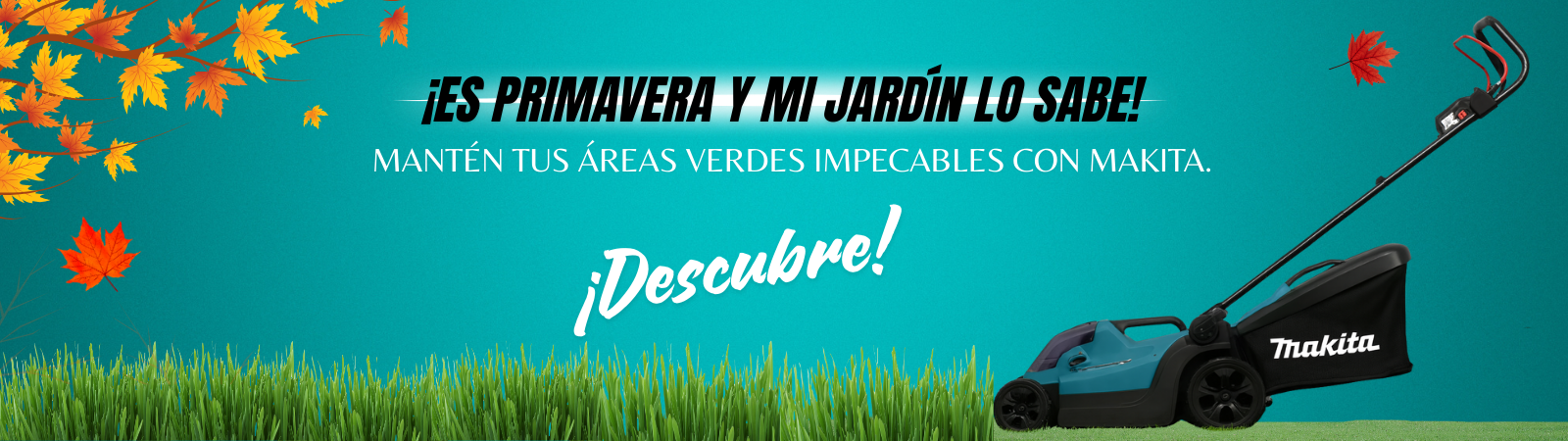 Nuevo diseño