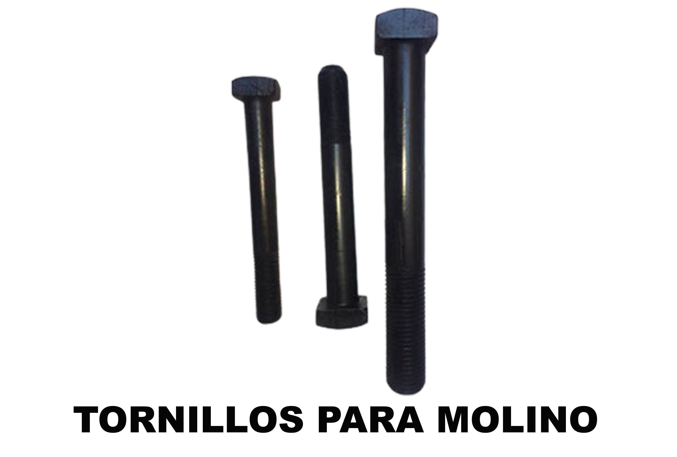 TornilleriaTorc