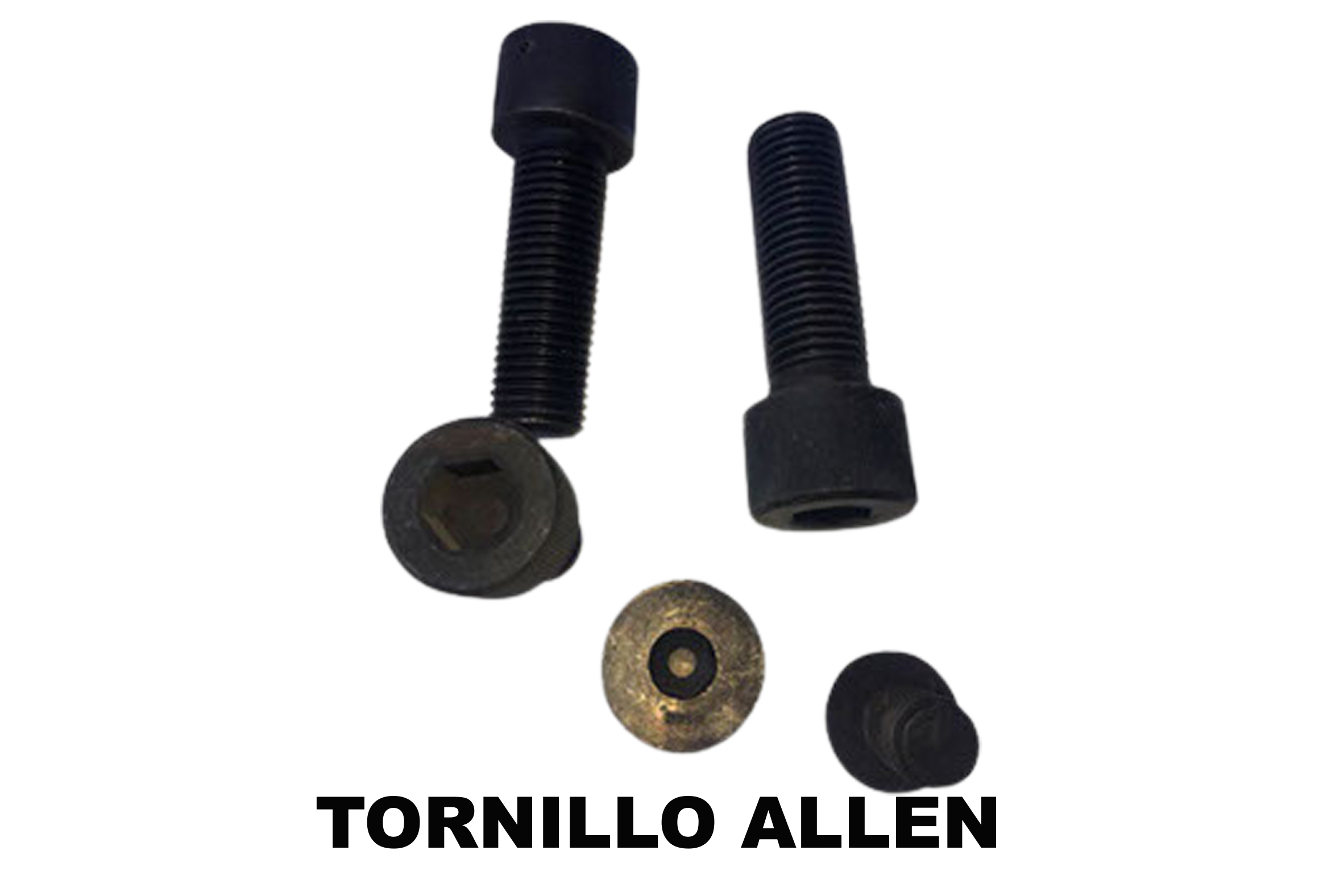 TornilleriaTorc
