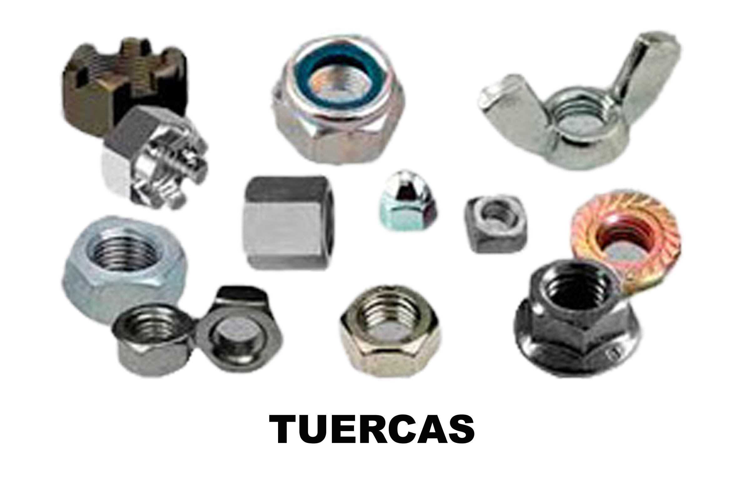 TornilleriaTorc