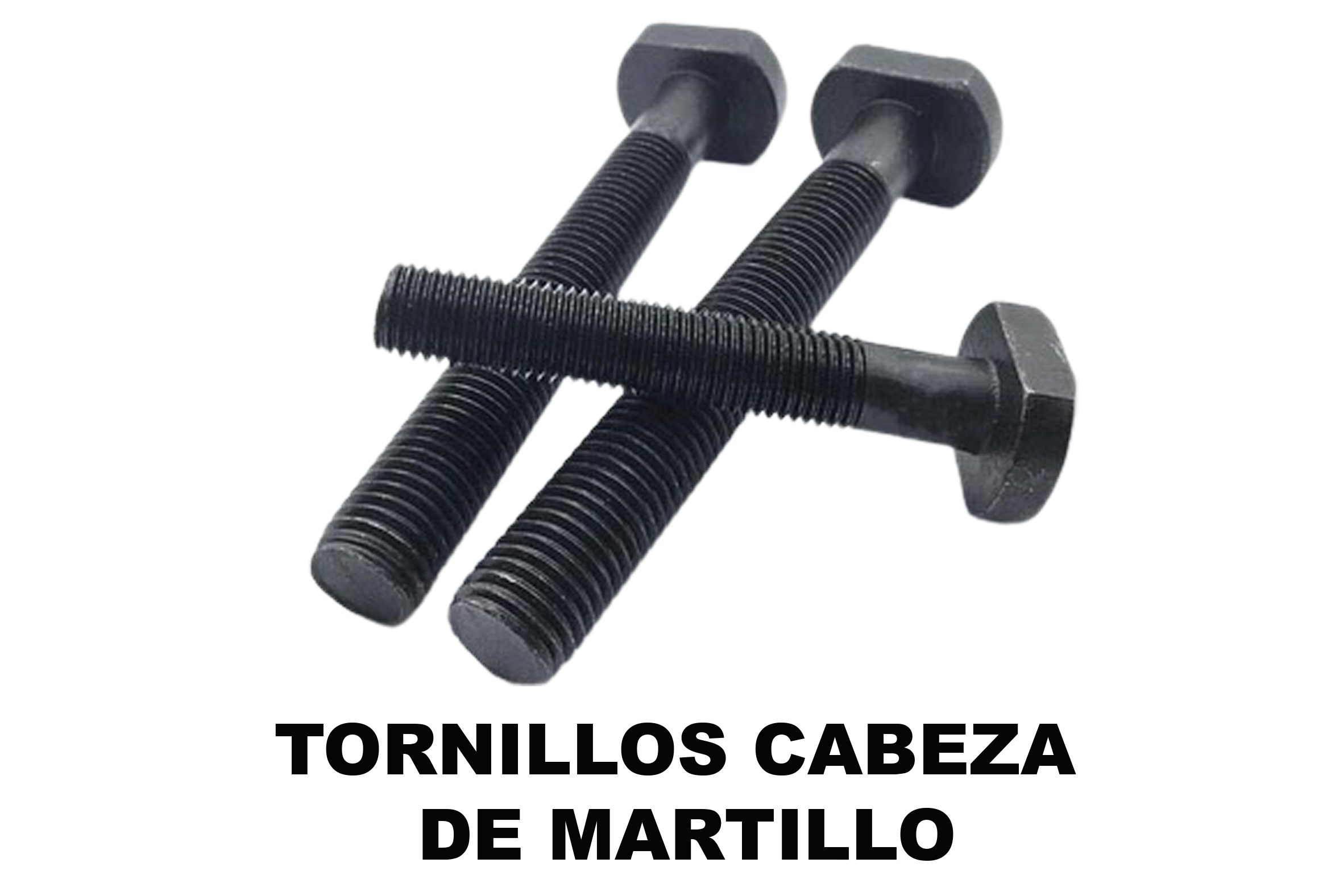 TornilleriaTorc
