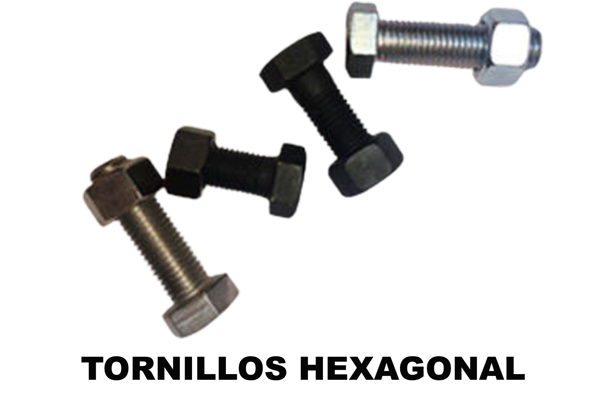 TornilleriaTorc