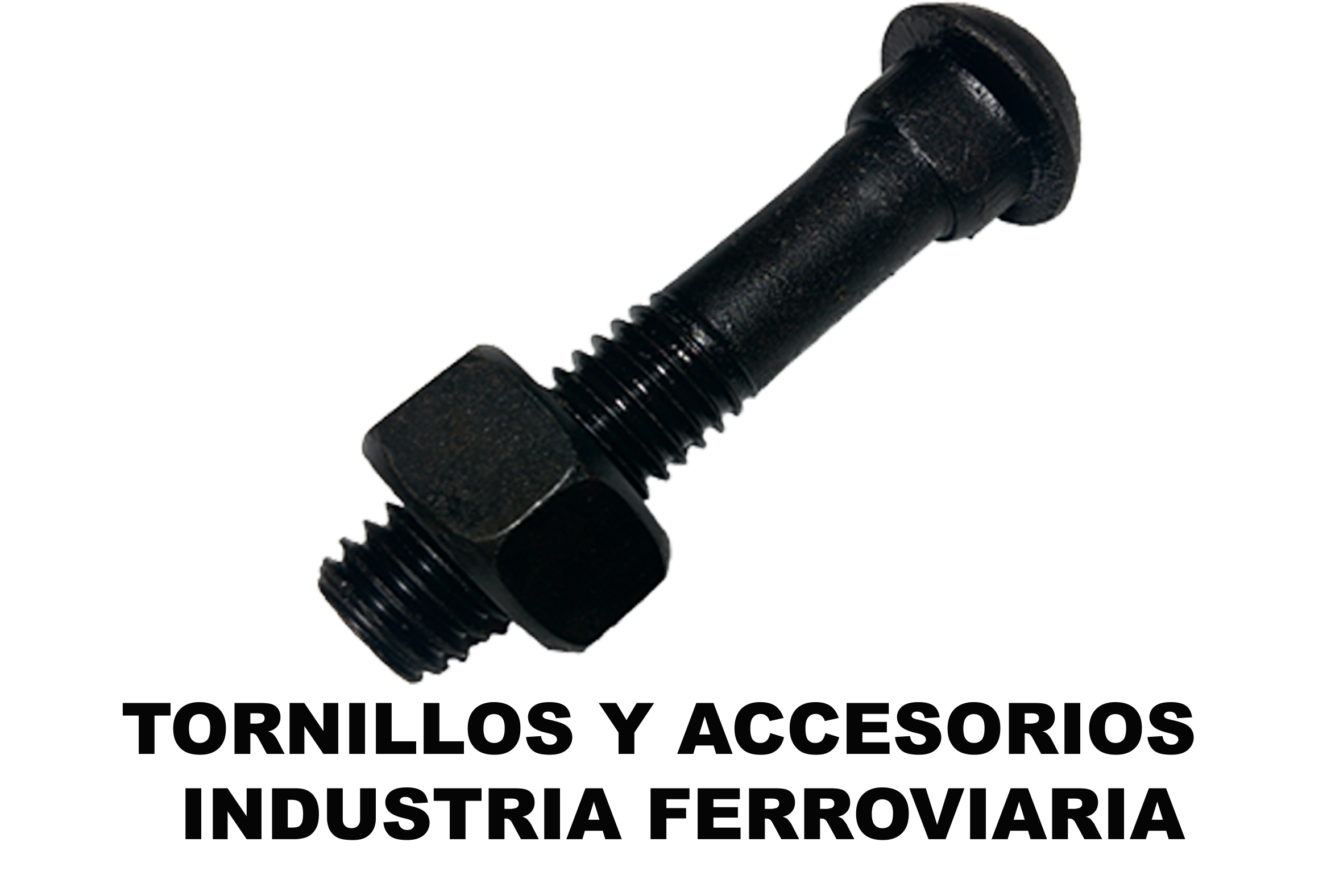 TornilleriaTorc