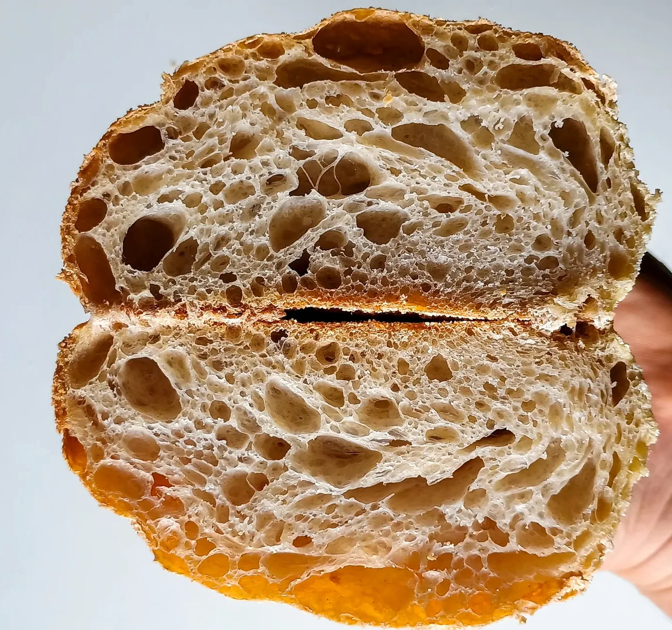 Pan masa madre