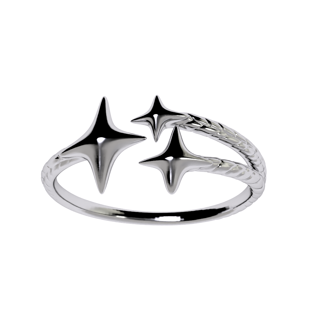 Anillos
