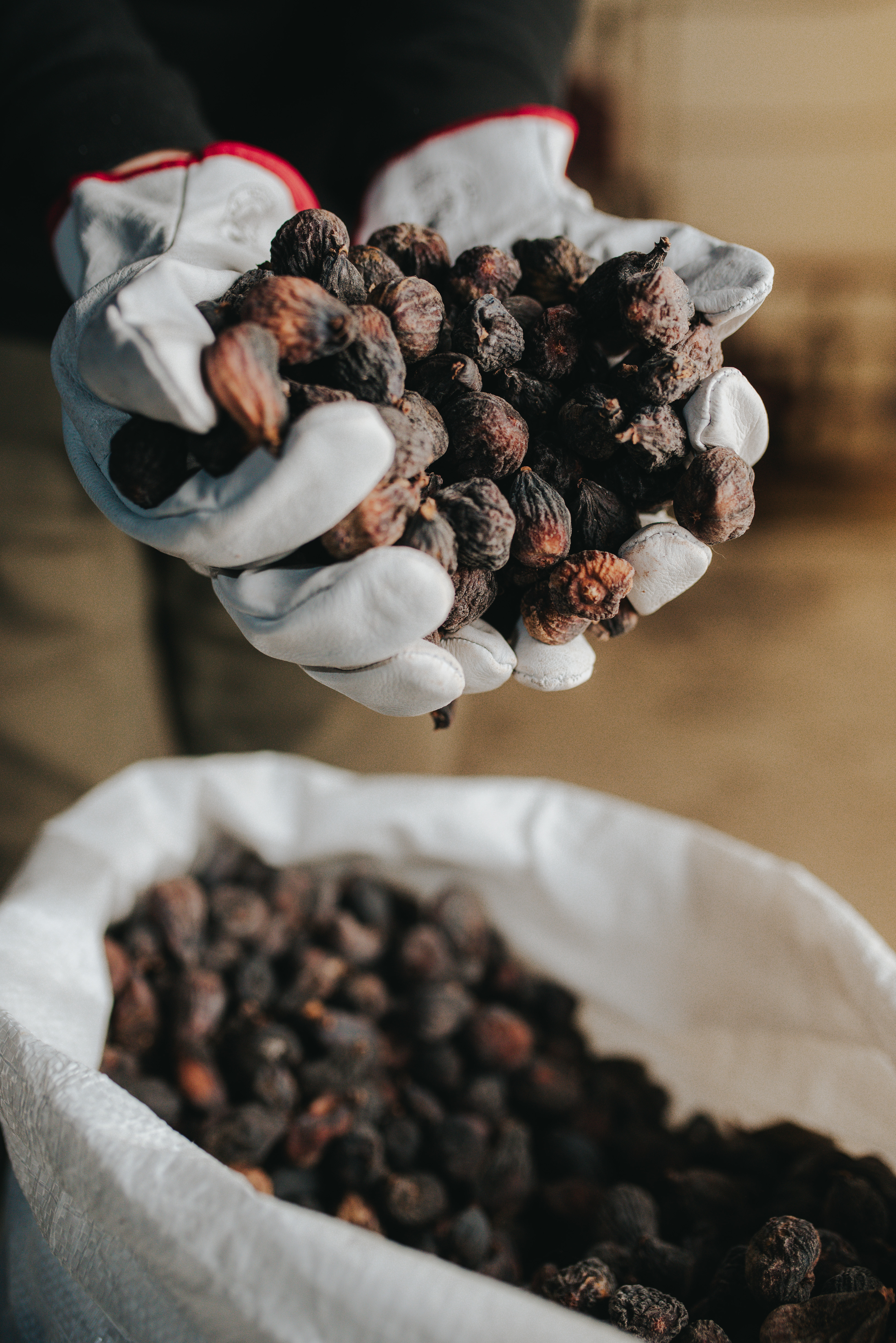 Tres Rios -  Café de Frutos Naturales Saludables