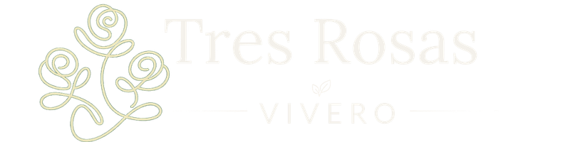 Tres Rosas