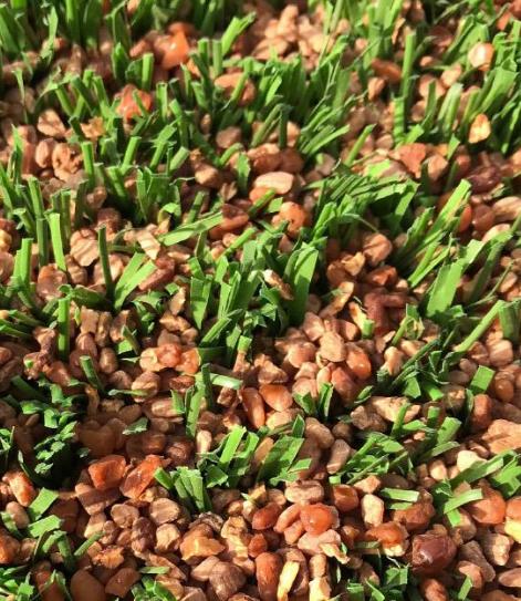 Insumos de Calidad Certificados