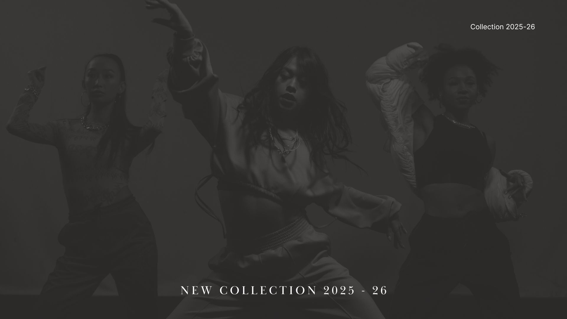 Explora Nuestro Catálogo