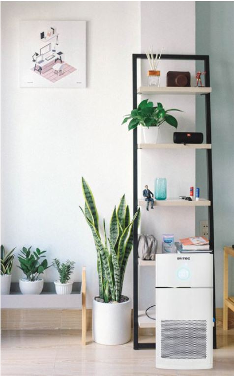 Purificación y Confort