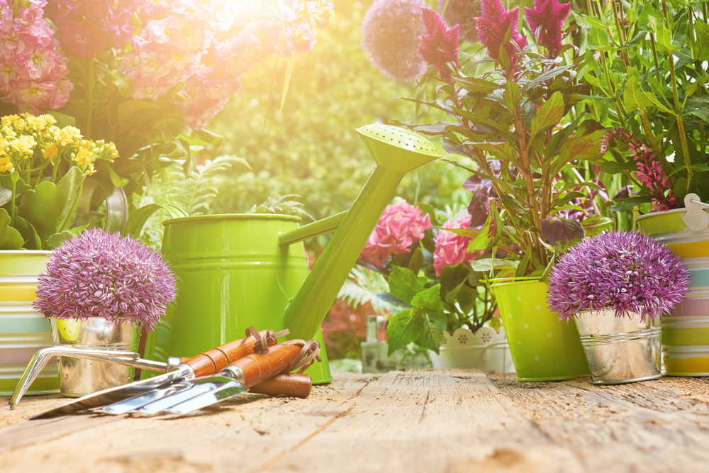 Decoración Jardin