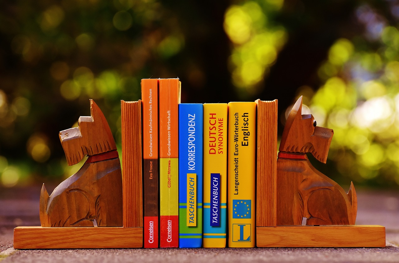 Sujetalibros - Bookends