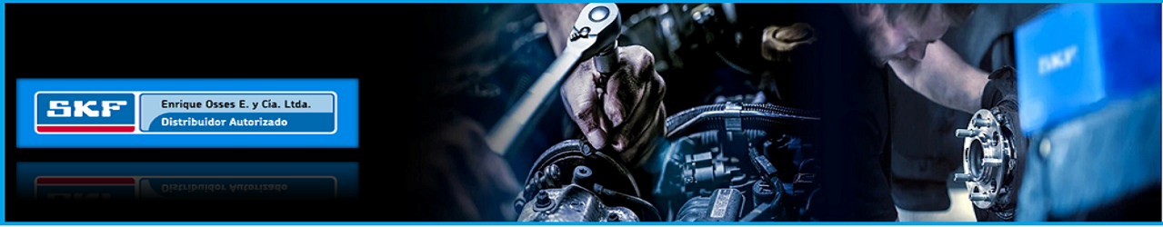 SKF AUTOMOTRIZ