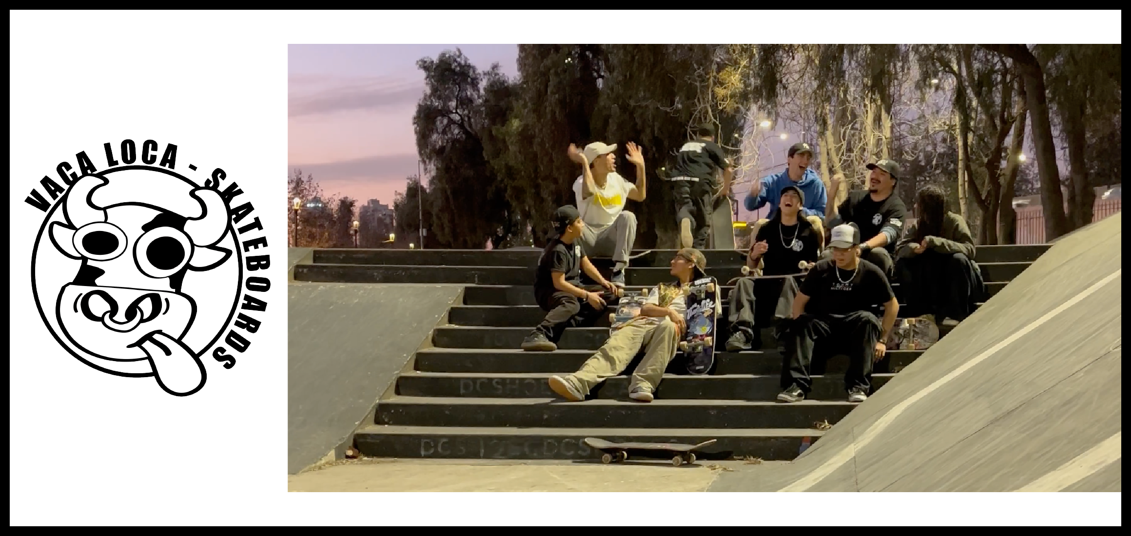Team Vaca Loca Skateboards