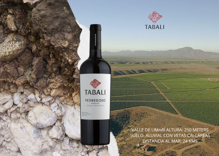 TABALÍ PEDREGOSO