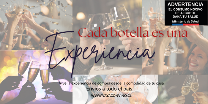 Vaya con Vino