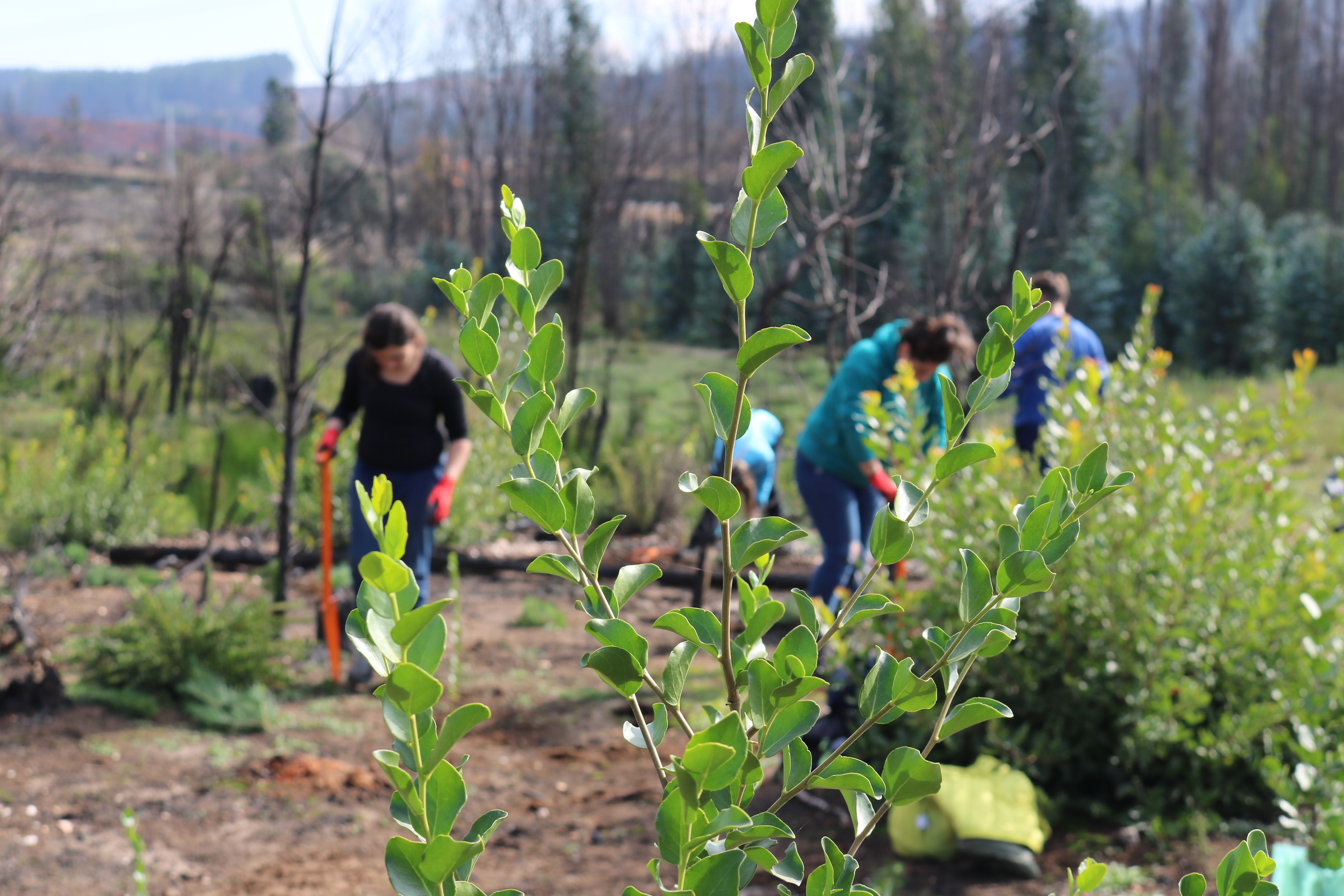 Fomentamos una visión a largo plazo