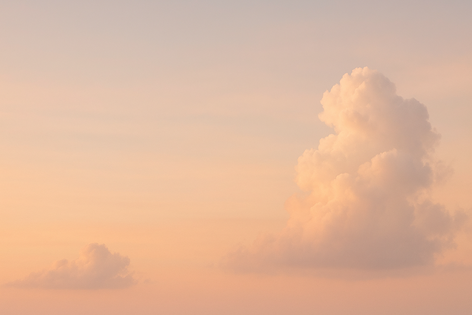 Spring & Valentine's 2025 💌.