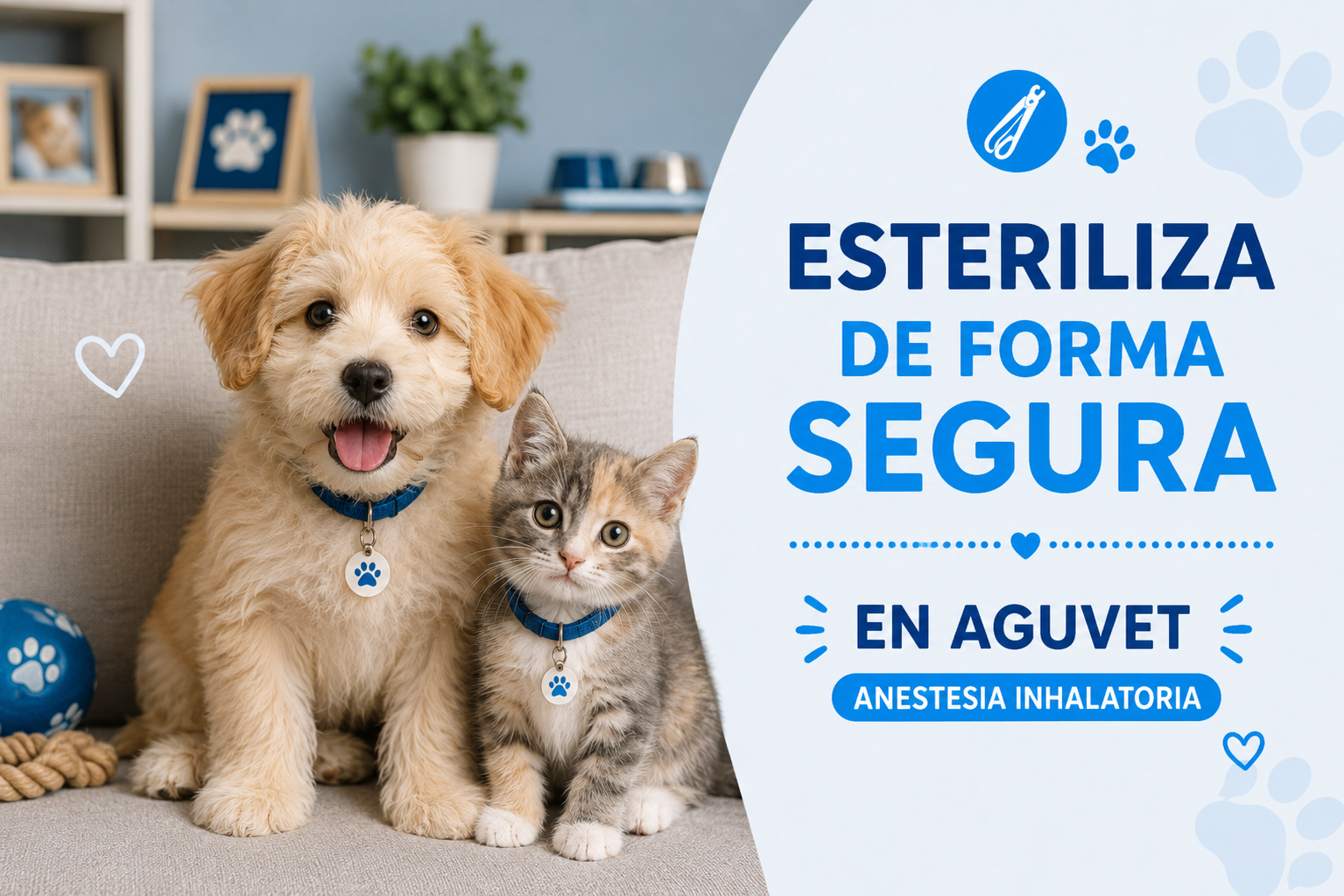 Título de la Sección