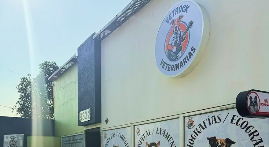 Nuestra pasión por la música y los animales en un solo lugar