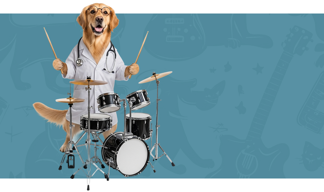 <b>RADIOGRAFÍAS</b><br>
Servicios de <br>
radiográfico digital.