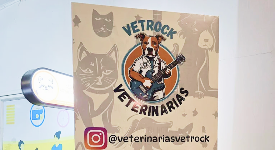 Nuestra pasión por la música y los animales en un solo lugar