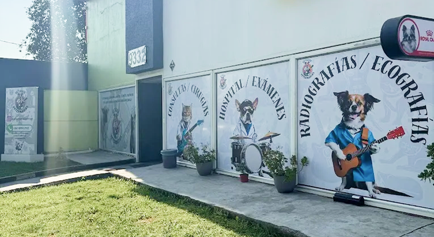 Nuestra pasión por la música y los animales en un solo lugar