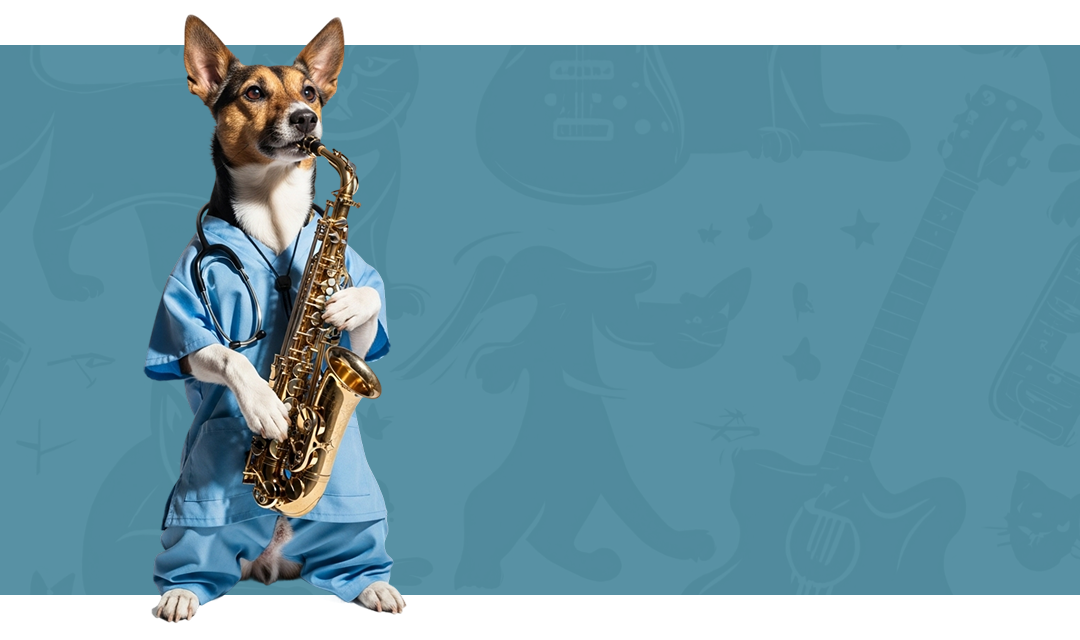 <b>CIRUGIAS</b><br>Cirugías de nivel básico, <br>intermedio y complejas, <br>previa evaluación.<br>




