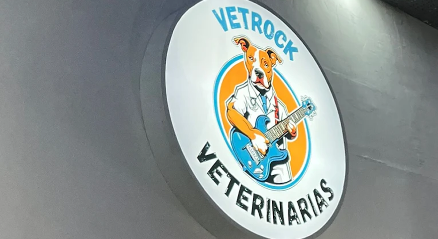 Nuestra pasión por la música y los animales en un solo lugar