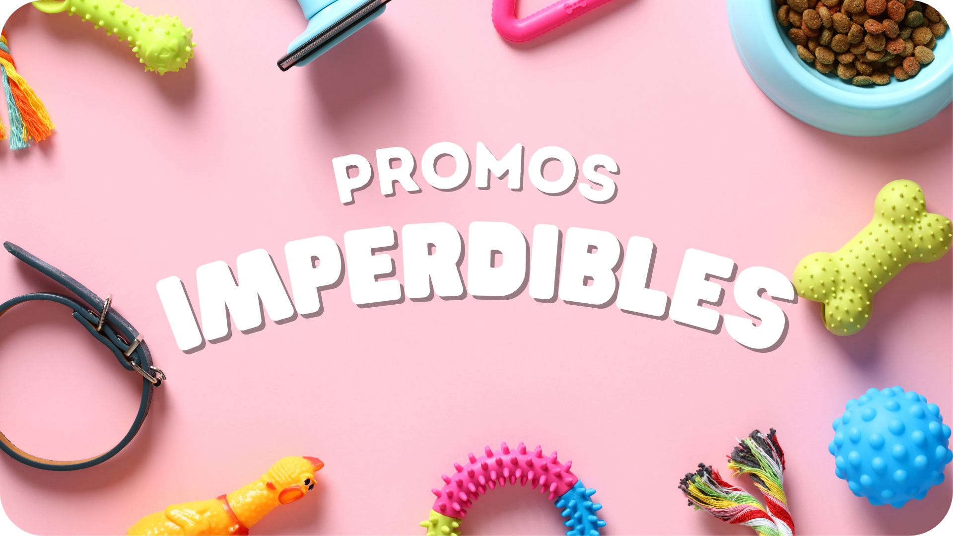 Tienda Para Mascotas Viña del mar | Vibranimal Petshop