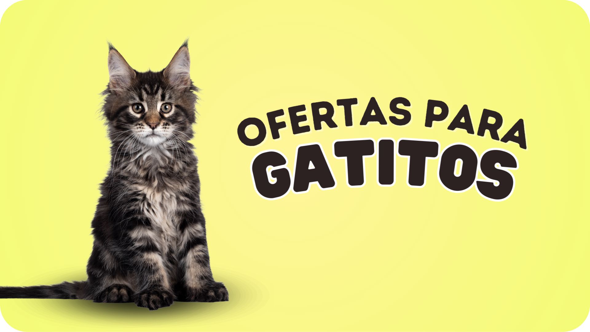 Tienda Para Mascotas Viña del mar | Vibranimal Petshop